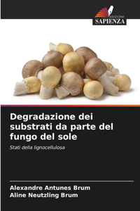 Degradazione dei substrati da parte del fungo del sole
