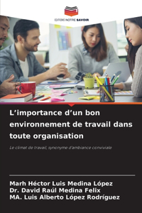 L'importance d'un bon environnement de travail dans toute organisation