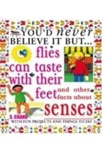 You'd Never Believe It But - Flies Can Taste With Their Feet