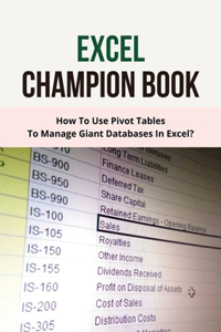 Excel Champion Book
