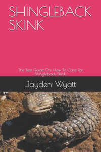 Shingleback Skink