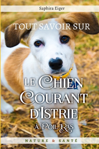 Tout Savoir Sur Le Chien Courant d'Istrie à Poil Ras