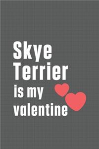 Skye Terrier is my valentine