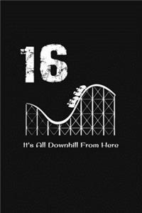 16th Birthday It's All Downhill From Here