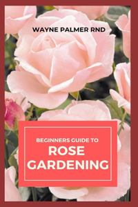 Beginners Guide to Rose Gardening