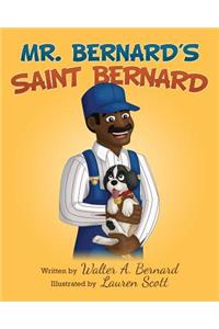 Mr Bernard's Saint Bernard