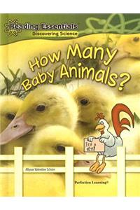 How Many Baby Animals?