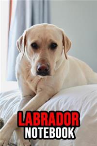Labrador Notebook
