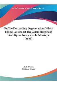 On the Descending Degenerations Which Follow Lesions of the Gyrus Marginalis and Gyrus Fornicatus in Monkeys (1889)