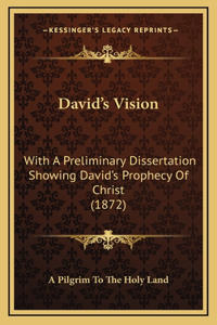 David's Vision