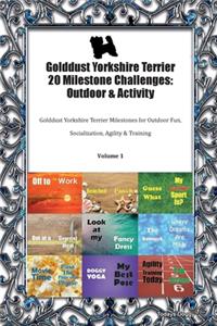 Golddust Yorkshire Terrier 20 Milestone Challenges