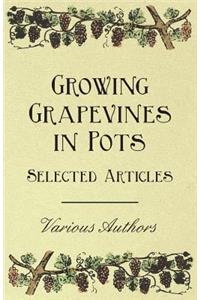 Growing Grapevines in Pots - Selected Articles