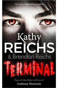 Terminal