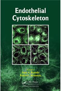 Endothelial Cytoskeleton