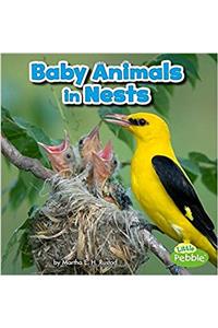 Baby Animals in Nests