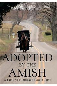 Adopted by the Amish
