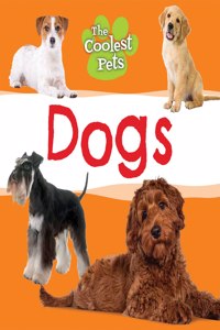 Dogs