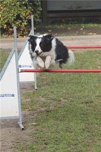 Jump Your Hurdles Journal