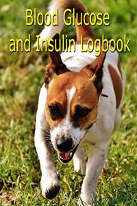 Blood Glucose and Insulin Logbook