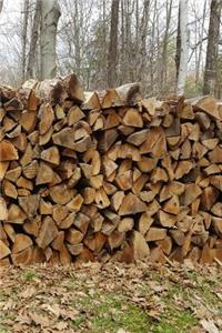 Journal Cut Stacked Woodpile Against Forest Winter Sky