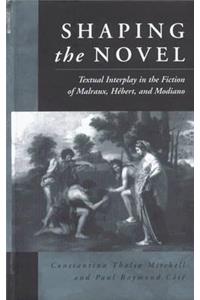 Shaping the Novel