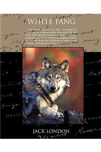 White Fang