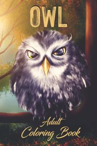 Owl - Adult Coloring Book