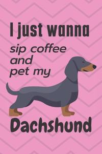 I just wanna sip coffee and pet my Dachshund