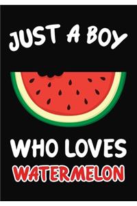 Just a Boy Who Loves watermelon