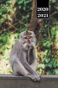 Monkey Ape Week Planner Weekly Organizer Calendar 2020 / 2021 - Fingernails Chewing