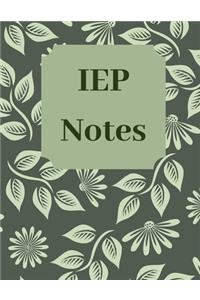 IEP Notes