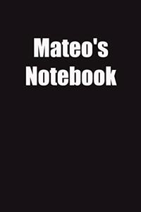 Mateo's Notebook