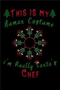this is my human costume im really santa's Chef