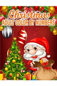 Christmas Adult Color By Numbers