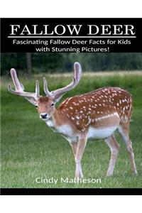 Fallow Deer: Fascinating Fallow Deer Facts for Kids with Stunning Pictures!