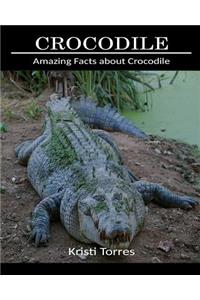 Amazing Facts about Crocodile