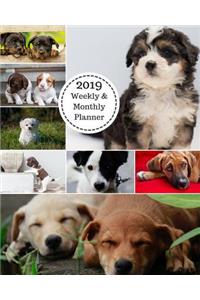 2019 Weekly and Monthly Planner