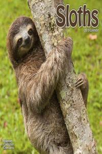 Sloths Calendar 2019