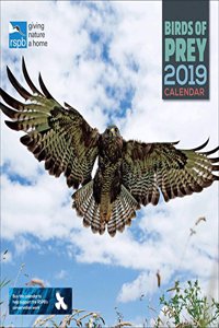 RSPB BIRDS OF PREY W 2019