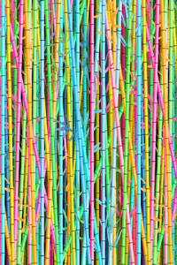 Vacation Bible School (Vbs) 2021 Discovery on Adventure Bamboo Wall Background