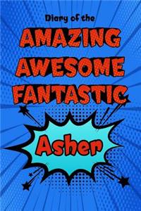 Diary of the Amazing Awesome Fantastic Asher