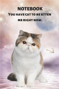 Notebook You Have Cat to Be Kitten Me Right Now