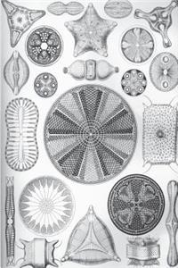 Haeckel Scientific Biological Art Notebook