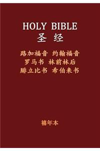 Holy Bible - Ntselect