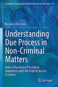 Understanding Due Process in Non-Criminal Matters