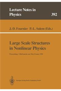 Large Scale Structures in Nonlinear Physics