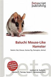 Baluchi Mouse-Like Hamster