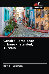 Gestire l'ambiente urbano - Istanbul, Turchia