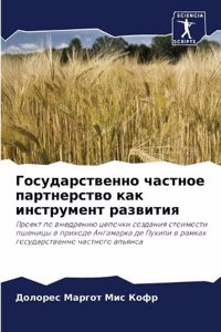 Государственно частное партнерство как и