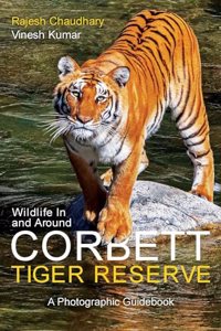 Wildlife In and Around Corbett Tiger Reserve